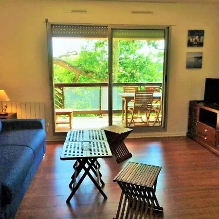 Studio Confortable Avec Balcon, Parking Prive Et Wi-Fi, A 200M De La Plage D'Eyrac - Fr-1-374-93 *